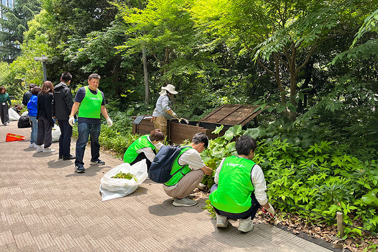 Employees participating in a biotope cleaning activity