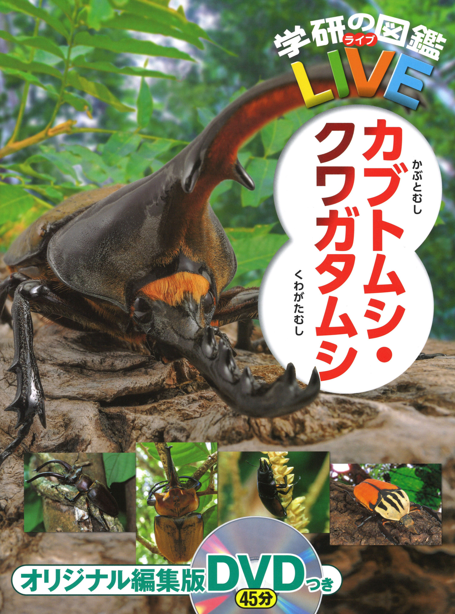 『学研の図鑑LIVE カブトムシ・クワガタムシ』.jpg