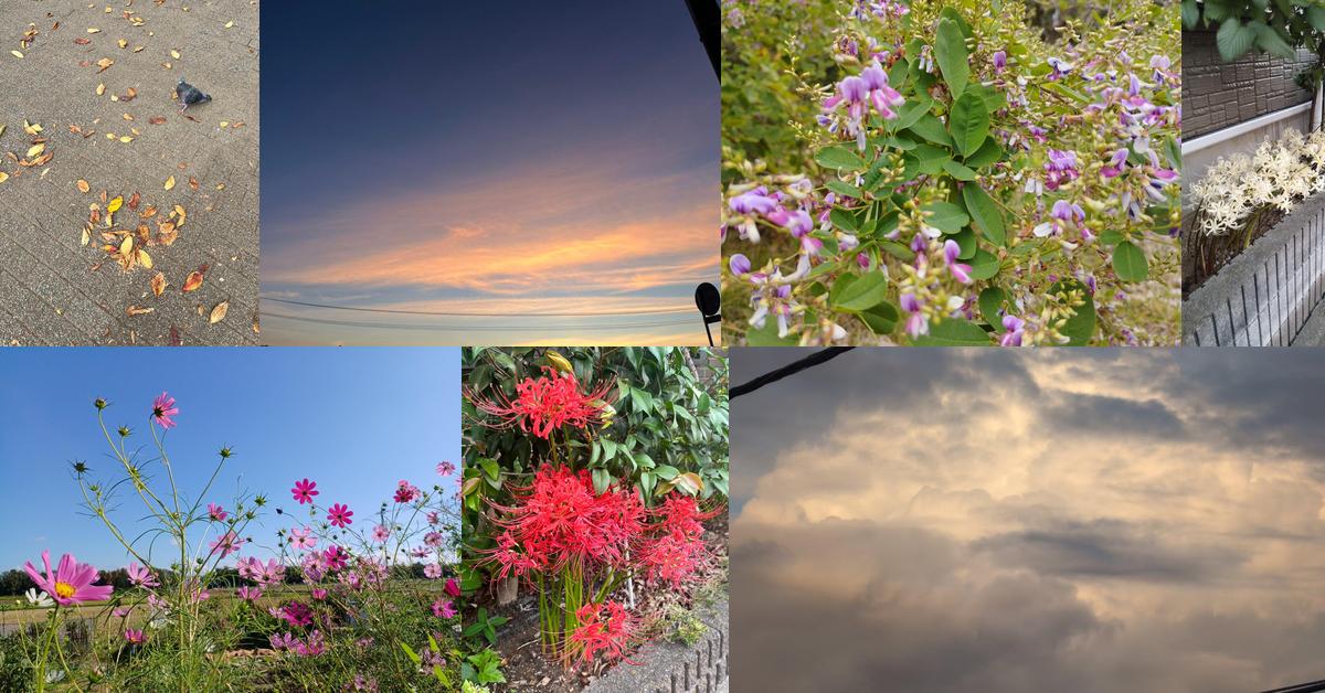 彼岸花、落ち葉、萩の花や夕焼けなど、秋を感じさせるコラージュ写真