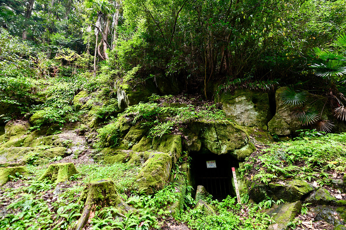 森の奥に苔むした岩の間から洞窟の入口が覗く。緑が濃く湿った空気を感じるような静かな風景。