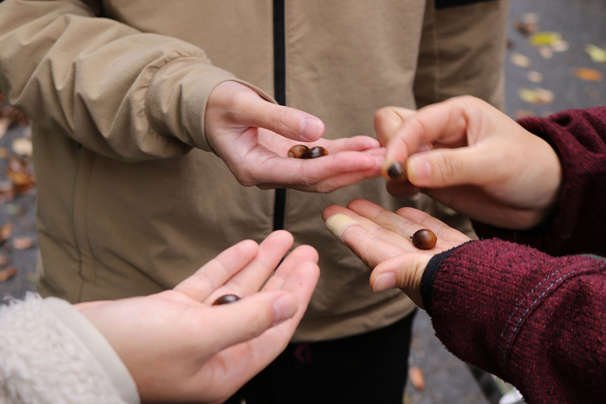 複数の人が手のひらにどんぐりを乗せ合い、見せながらやり取りしている。異なる色の上着の腕が集まり、地面には落ち葉が散っている。手元中心の写真で顔は写っていない。