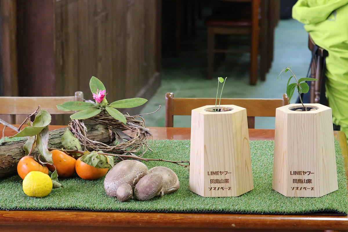 机の上に、木製の鉢に植えられた小さな苗木が二つ並び、横には柿やゆず、しいたけ、枝葉などが置かれている。木製鉢には「LINEヤフー」「田島山業」などの文字が刻まれている。