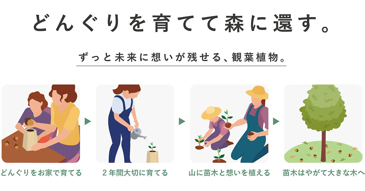 どんぐりを育てて森に戻す流れを描いたイラストで、家庭で植える場面、水やりをして育てる場面、山で植樹する場面、大きく育った木が描かれている。優しい色合いで教育的な雰囲気の説明図である。